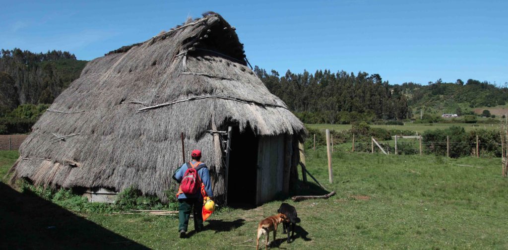 Visita a Ruca