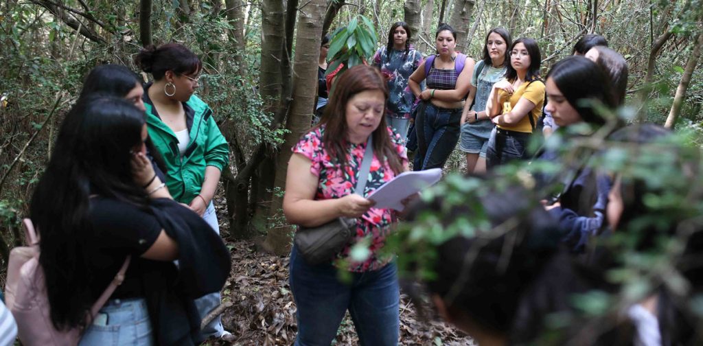 Salida a terreno educación general básica