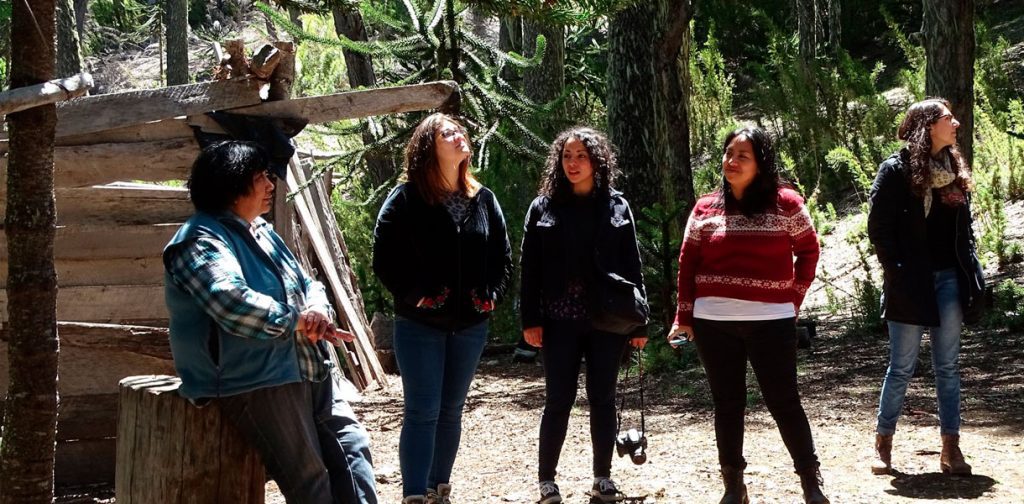 Salida a terreno de alumnos UC Villarrica