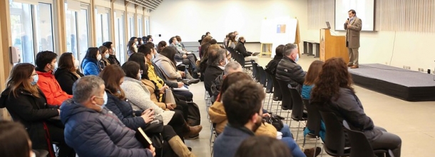 Comites Desarollo Profesional