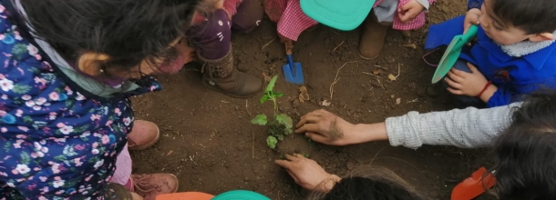 Niños cultivando una planta
