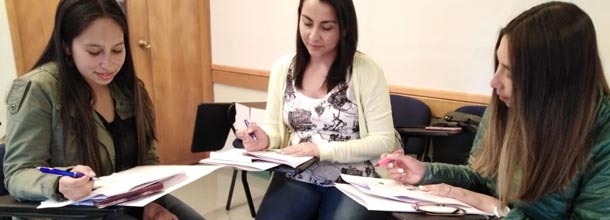 Campus Villarrica UC lanza nueva versión de Escuela de Verano para profesores y profesionales del área educativa