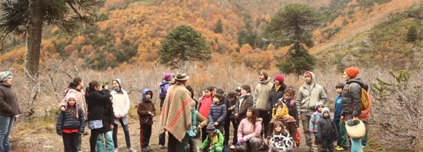 Niños y jóvenes en salida a terreno grupal