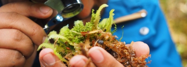 Se lanzó libro de investigación UC “Field Science in Chile”