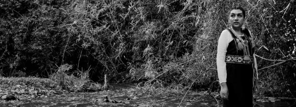 María Lara destaca en nuevo sitio web que rescata el trabajo de escritores y poetas mapuche
