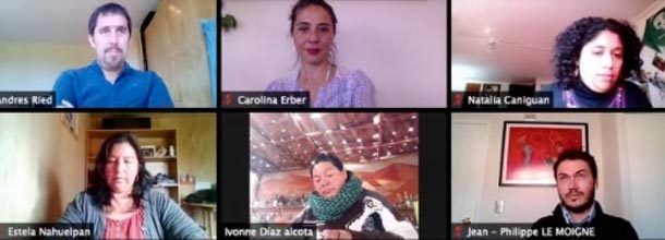 Pantallazo reunión zoom