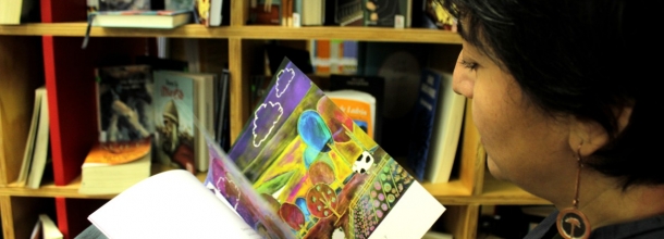 Biblioteca Futuro UC Villarricaok