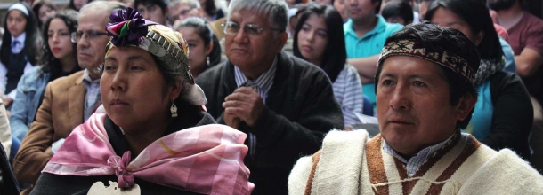 Nuevo software para aprender mapudungun y cultura mapuche fue dado a conocer en Villarrica