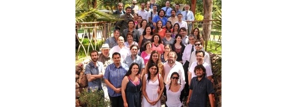 profesionales ICIIS