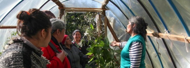 Campus Villarrica UC fue uno de los cuatro seleccionados a nivel nacional en XII Concurso de diplomados regionales de CONICYT