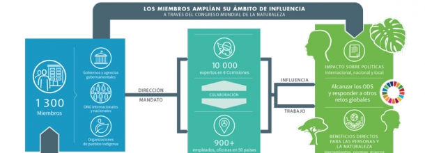 Nicolás Gálvez se une al Grupo de Especialistas de Felinos de la Unión Internacional para la Conservación de la Naturaleza