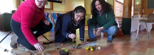colaboración en jardín de Pucón