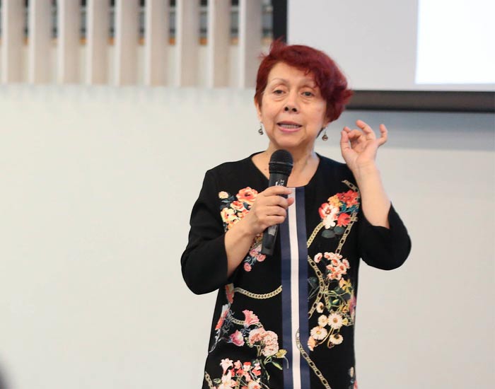 Académica Viviana Gómez exponiendo en el seminario «¿Qué se aprende en las prácticas progresivas de la FID?: Experiencias e investigaciones desde distintos actores»