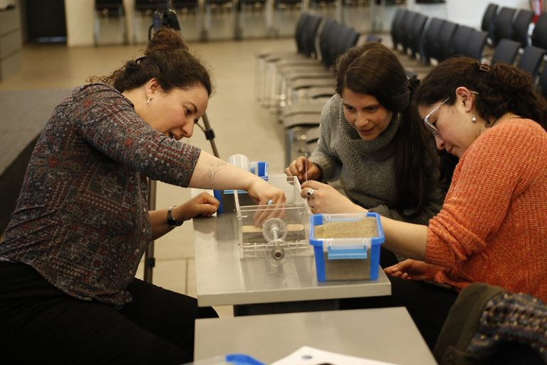 En Campus Villarrica UC presentan modelos pedagógicos para promover la alfabetización científica